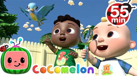 nagsukatan ng cocomelon|CoComelon's 13th Birthday + More Nursery Rhymes & Kids Songs.